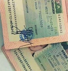 Как правильно читать шенгенскую визу