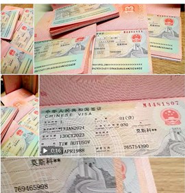 Как получить визу в Китай: подробное руководство